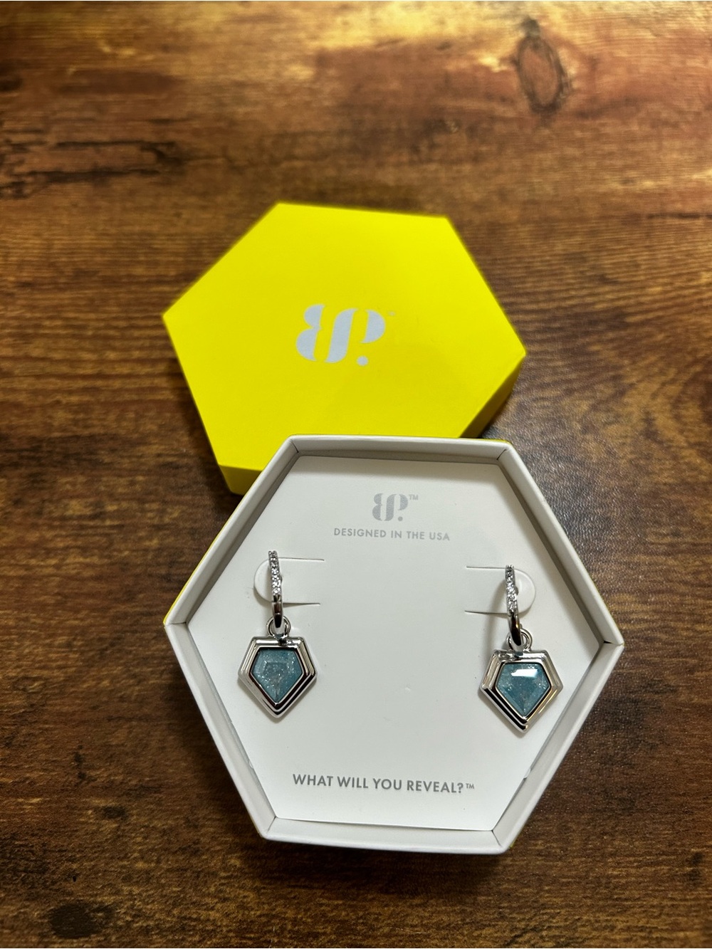 Bomb Party OG Rhodium Hoop Earrings